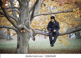 <p>branch</p>