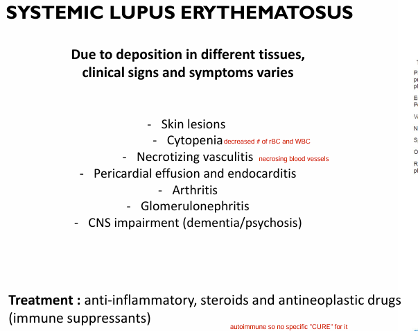 <p>1) skin lesions</p><p>2) cytopenia (decreased # of RBC &amp; WBC)</p><p>3) necrotizing vasculitis (necrosing blood vessels)</p><p>4) arthritis</p><p></p><p>5) no specific “cure”<br>- anti inflammatory, steroids, antineoplastic drugs (immune suppresants)</p><p></p><p><span style="color: #f100ff">6) glomerulonephritis</span></p><p><span style="color: #f100ff">pericardial effusion/endocarditis</span></p>