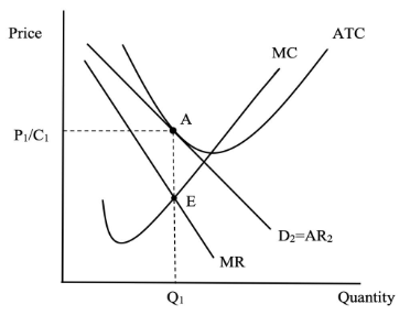 <p>SPECS of an imperfect competition in the long run</p>