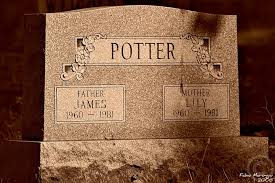 <p>Verb<br>Meaning - to bury, to commit to earth, to consign to oblivion<br>Syn - N/A<br>Ant -  Unearth, exhume</p>