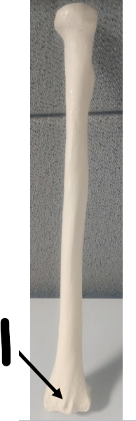 <p>What is 1?</p>