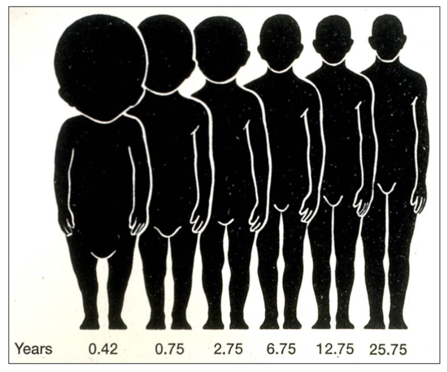 <p><span style="background-color: transparent;"><span>Different parts of the body grow at different rates; Ex: puppies paws are very large in comparison to the rest of the body, but over time the body grows into them</span></span></p>