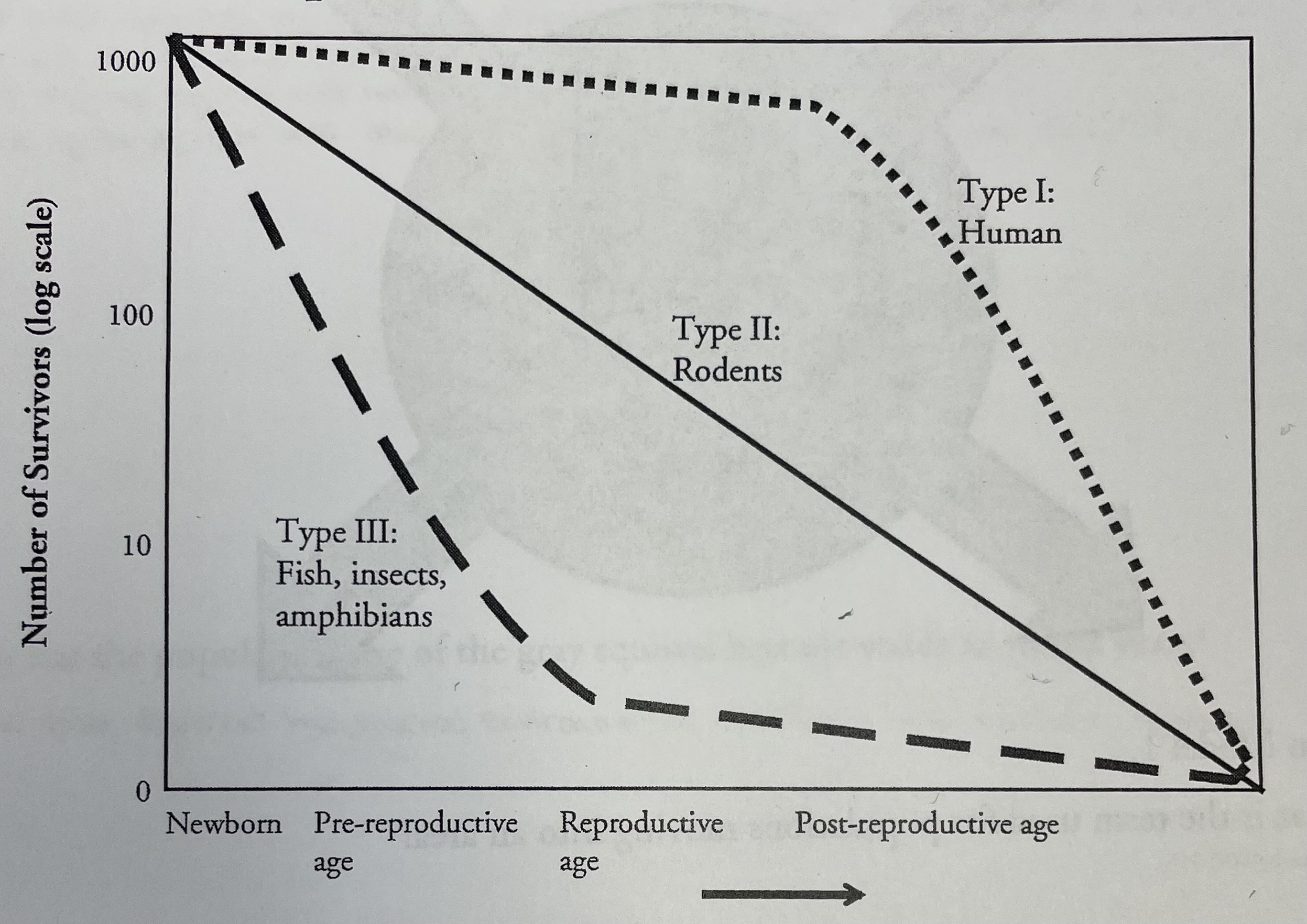 <p>Which type of organism loses most of the individuals in its population at an early life stage?</p>