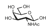 <p>Identify</p>