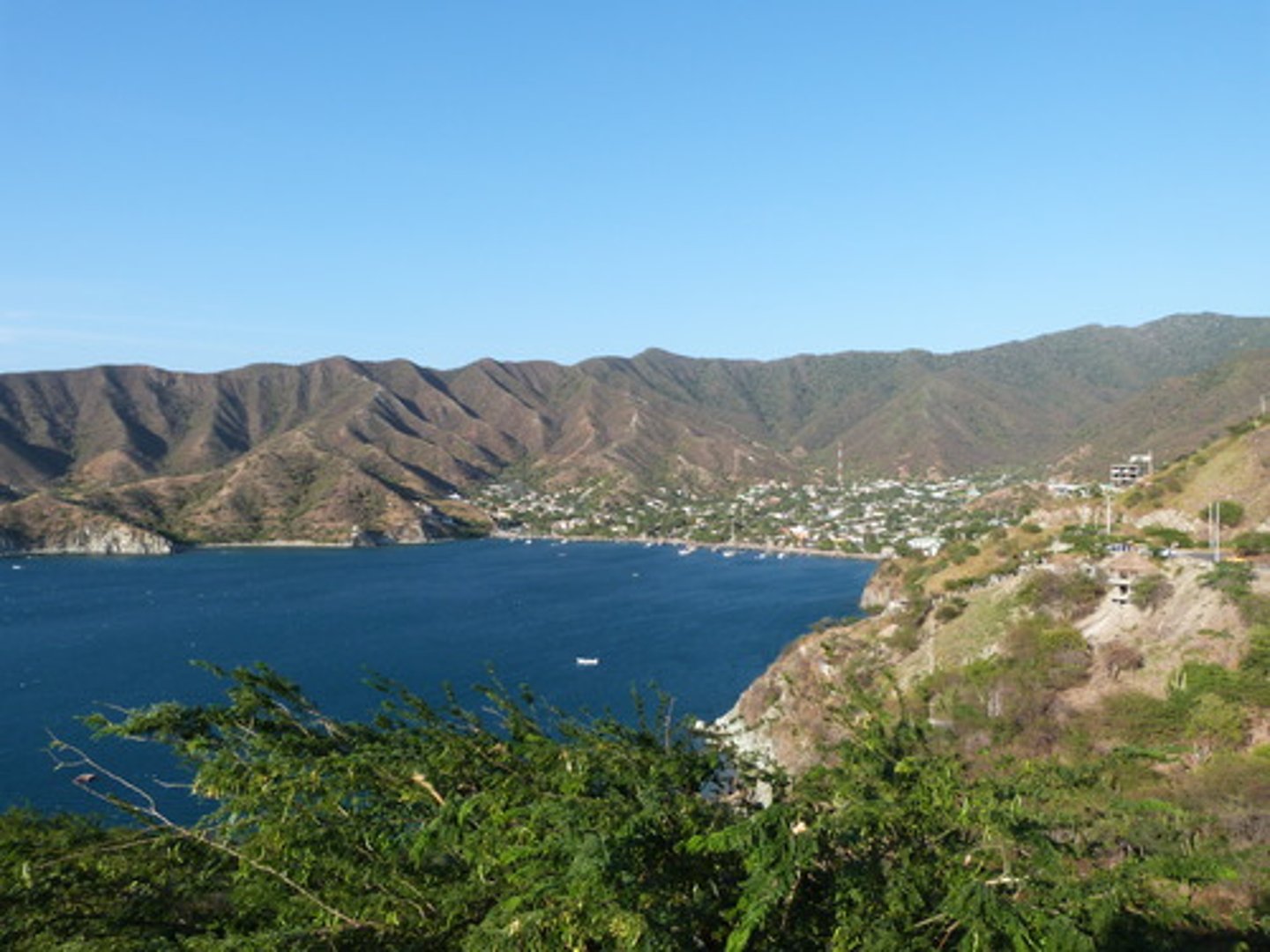 <p>a bay</p>