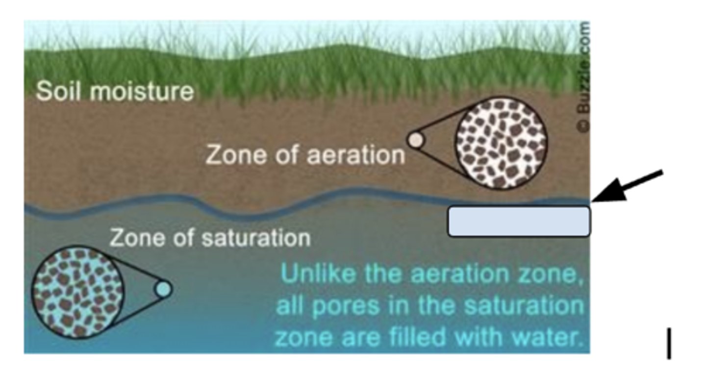 <p>The top of the zone of saturation; where groundwater begins.</p>