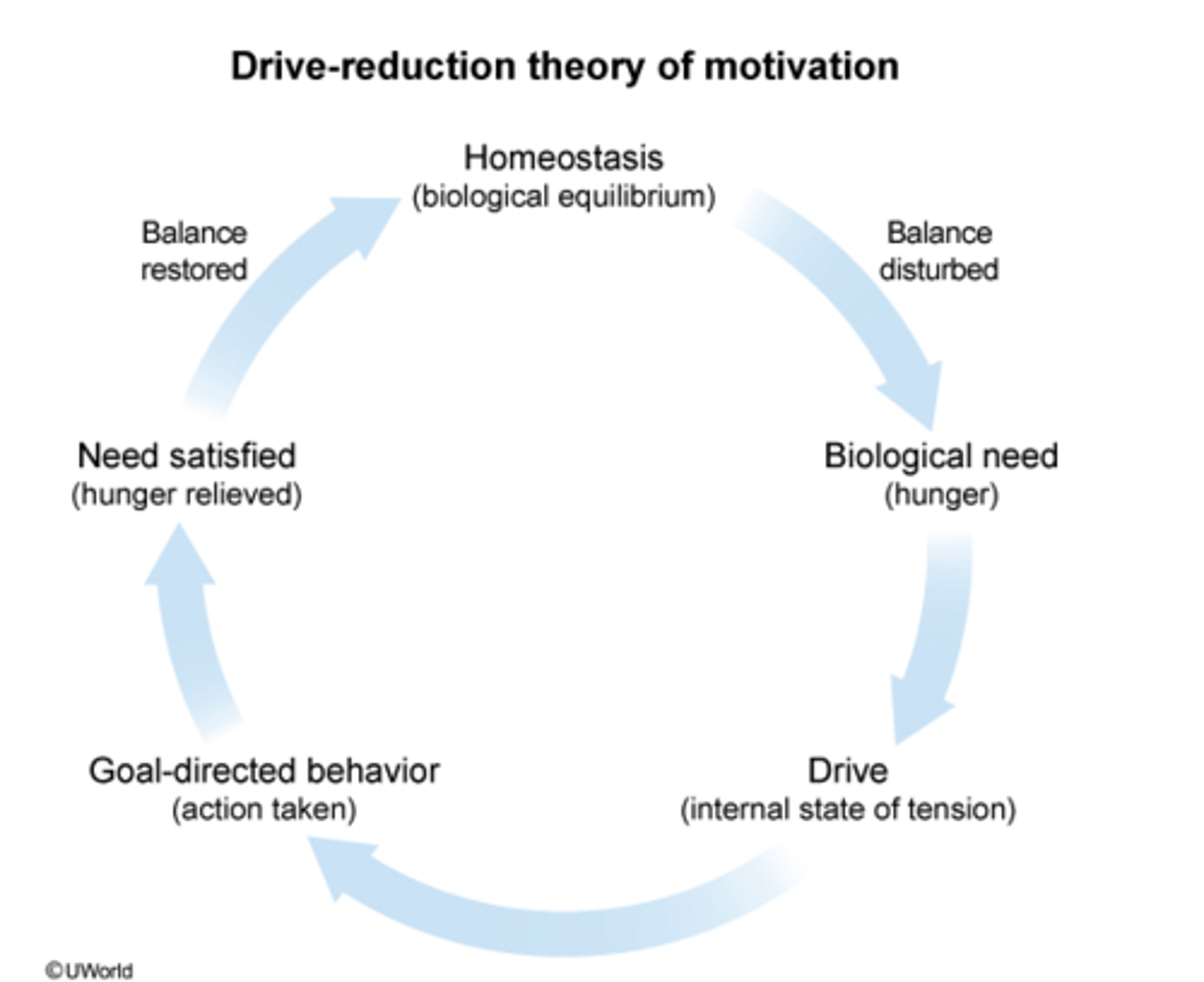 <p>motivation is a result of a disruption of homeostasis, which generates a biological need<br><br>ex. blood glucose level drops, organisms is hungry, organism seeks good, eats</p>