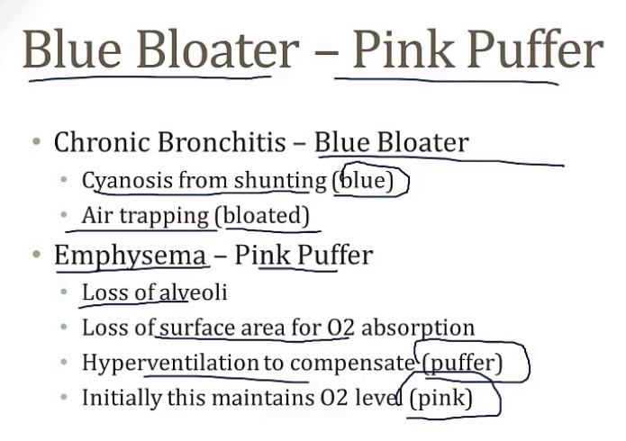 <p>-obstructive</p><p>-smoking</p><p>-proteases; anti-proteases; alpha1 anti-trypsin, anti-proteases; lower</p><p>-neutrophils and macrophages</p><p>-elastic recoil; collapse in exhalation; trapped</p><p>-cough; chronic bronchitis; hyperventilation; weight loss; barrel chest</p><p>-smoking</p><p>-alpha1 anti-trypsin deficiency</p>
