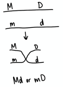 <p>Double dominant or double recessive genes on the same chromosome. After testcross, if homozygous individuals are the majority.</p>