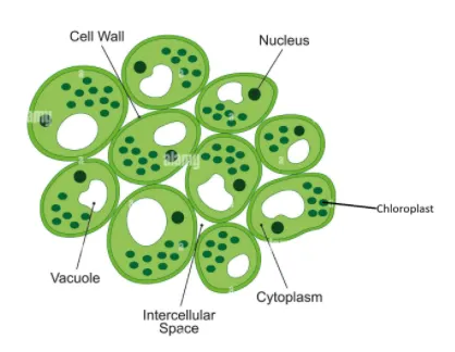 <p>Describe this image</p>