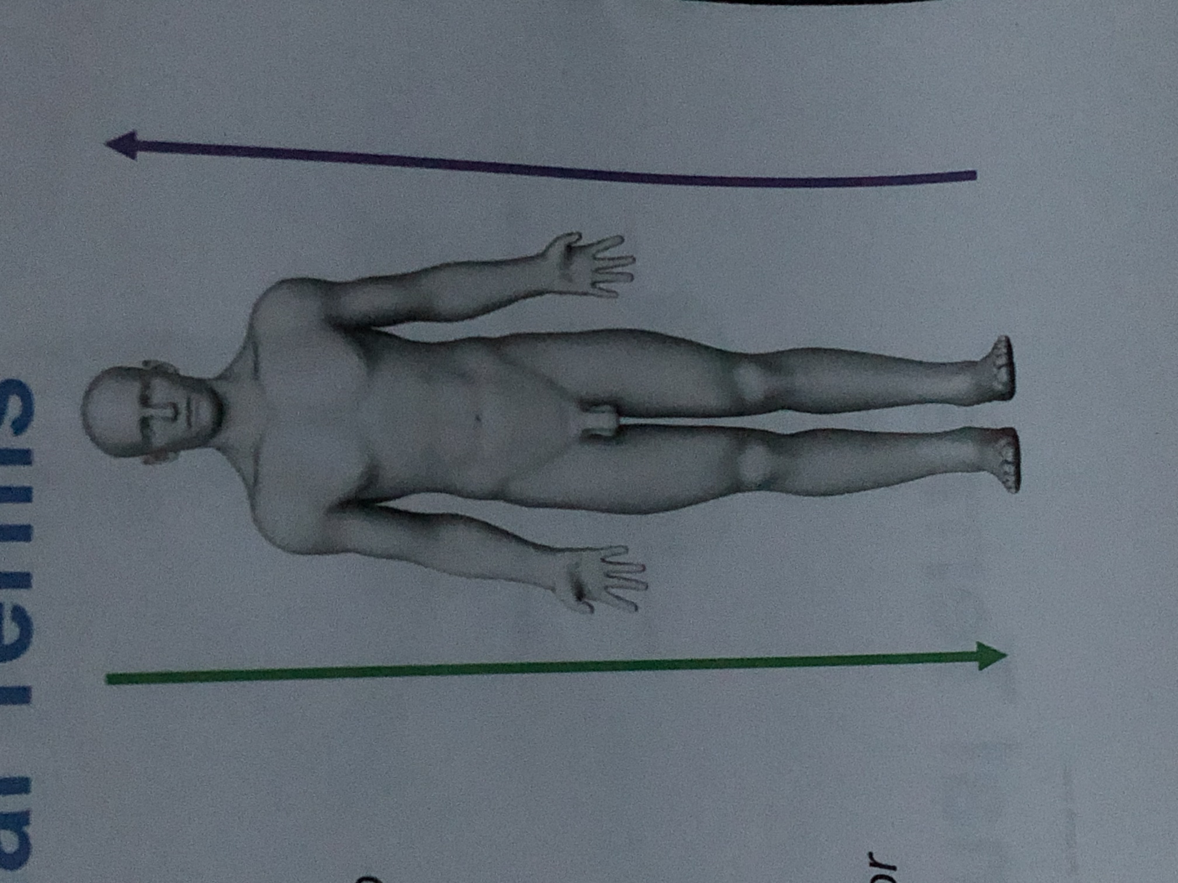 <p>Toward the upper part; above</p><p>Ex. The chin is ___ to the abdomen</p>
