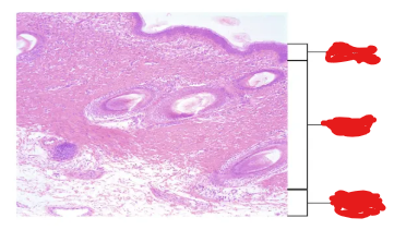 <p>fill in the blanks</p>