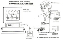 <p>a technique that trains people to improve their health by controlling certain bodily processes that normally happen involuntarily, such as heart rate, blood pressure, muscle tension, and skin temperature.</p>