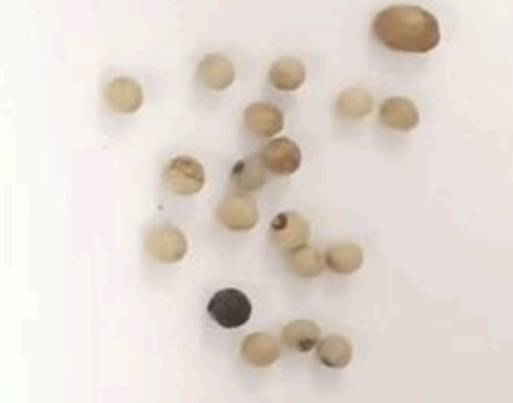 <p>?</p>