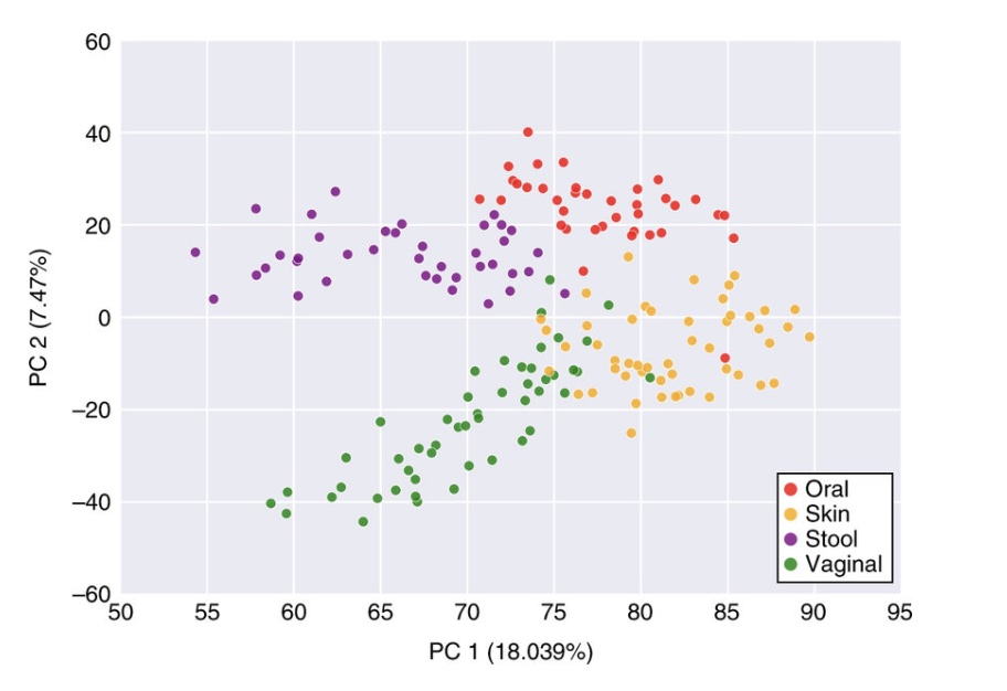 <p>Choose the most appropriate description of this graph.</p><p>This graph reveals that an individuals skin microbiome is more similar to another persons skin microbiome than it is to their oral, vaginal or stool microbiomes</p><p>This chart reveals that oral microbiomes have the highest levels of species diversity</p><p>This chart reveals that oral microbiomes have the lowest levels of species diversity</p><p>This chart is uninterpretable</p><p>This graph reveals that an individuals microbiomes (skin, oral, etc.) are more similar to each other than they are to another individuals microbiome</p>