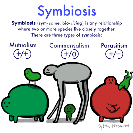 <p>The relationship between the mf uh species </p><p>MUTUALISM- they both benefit </p><p>COMMENSALISM- One benefit the other one don’t gaf </p><p>PARASISTISM- Only one mf benefits and the other one is hurt by it lowkey </p>