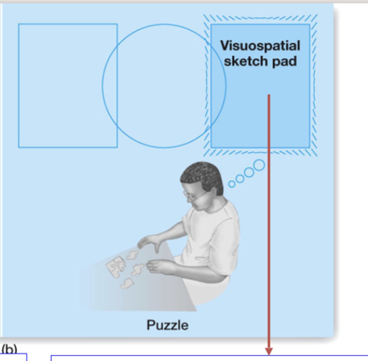 <p>holds visual and spatial information (ex: tracking cars, people, and roads; navigating the route )</p>