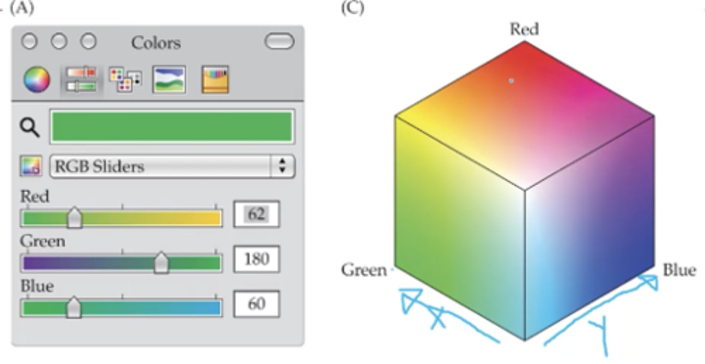 <p>Defined by the outputs of long, medium, and short wavelength lights (i.e., red, green, and blue).</p>