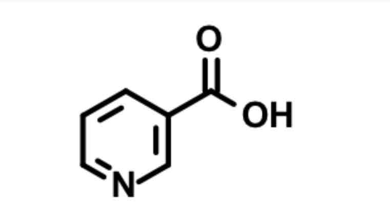 <p>Niacin / nicotinic acid</p>