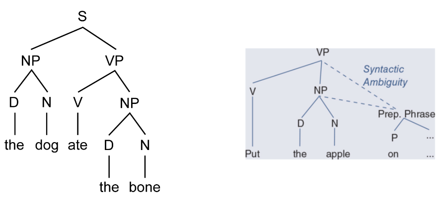 <p>Syntax refers to the rules for arranging words in sentences</p><ul><li><p>If there were no rules or constraints on expression, we could string words together in practically any order, and it would be impossible to convey anything.</p></li></ul><p><strong>Key Concepts in Syntax:</strong></p><ol><li><p><strong>Phrase Structure</strong>:</p><ul><li><p>Syntax organizes words into larger units called <strong>phrases</strong>, which form a <strong>hierarchical structure</strong>.</p></li><li><p>Each sentence has a distinct organization, with words grouped in ways that follow specific rules, enabling effective communication.</p></li><li><p><strong>Phrase structure</strong> diagrams, often illustrated with <strong>syntactic tree diagrams</strong>, show how these elements relate to one another within a sentence.</p><p></p></li></ul></li><li><p><strong>Transformational Grammar</strong>:</p><ul><li><p>Developed by <strong>Noam Chomsky (1957)</strong>, transformational grammar explains how sentences can be <strong>rearranged</strong> or <strong>transformed</strong> to convey different meanings.</p></li><li><p>For example, "Jessie drank a cup of coffee" can be transformed into a question: "Did Jessie drink a cup of coffee?" while maintaining the same core meaning.</p></li><li><p>This transformation highlights the flexibility of language, where new sentence forms can be created while adhering to syntactic rules.</p></li></ul></li></ol><p></p>