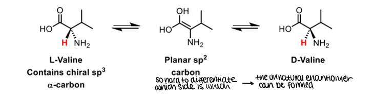 <p>One issue is the racemisation of chiral centres next to a carbonyl group</p>