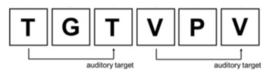 <ul><li><p>Can be either auditory or visual</p></li><li><p>Letter, number, or spatial location</p><ul><li><p>Example: Auditory 2-back (press a button on the target)</p></li></ul></li></ul><p></p>