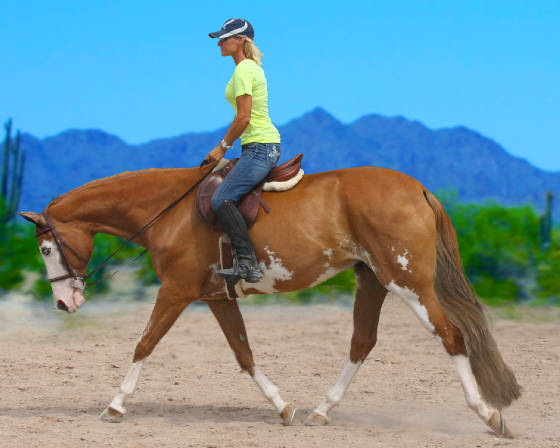 <p>Trot</p>