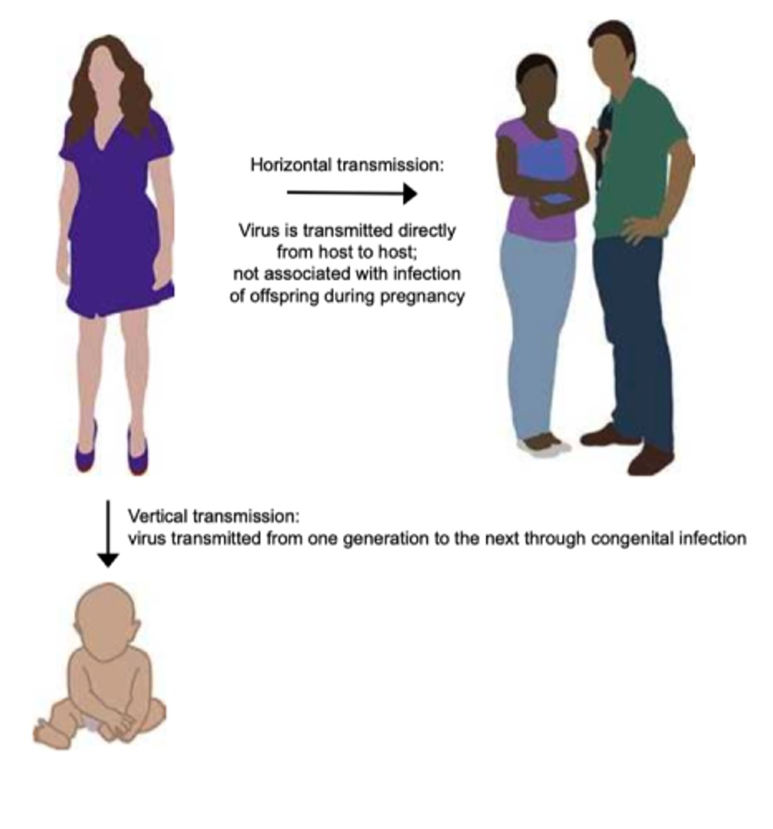 <p>disease transmitted from parent to offspring</p>
