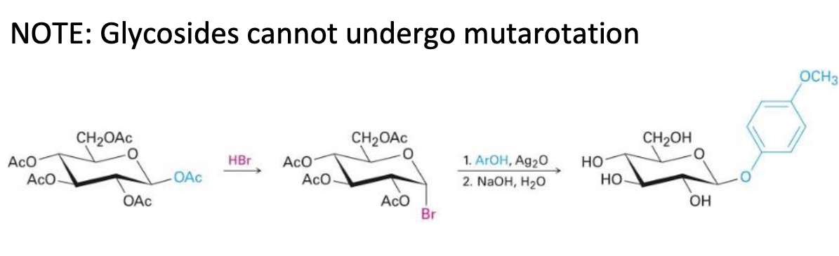 <p>koenigs-knorr reaction mechanism (c1 glycoside formation only)</p>
