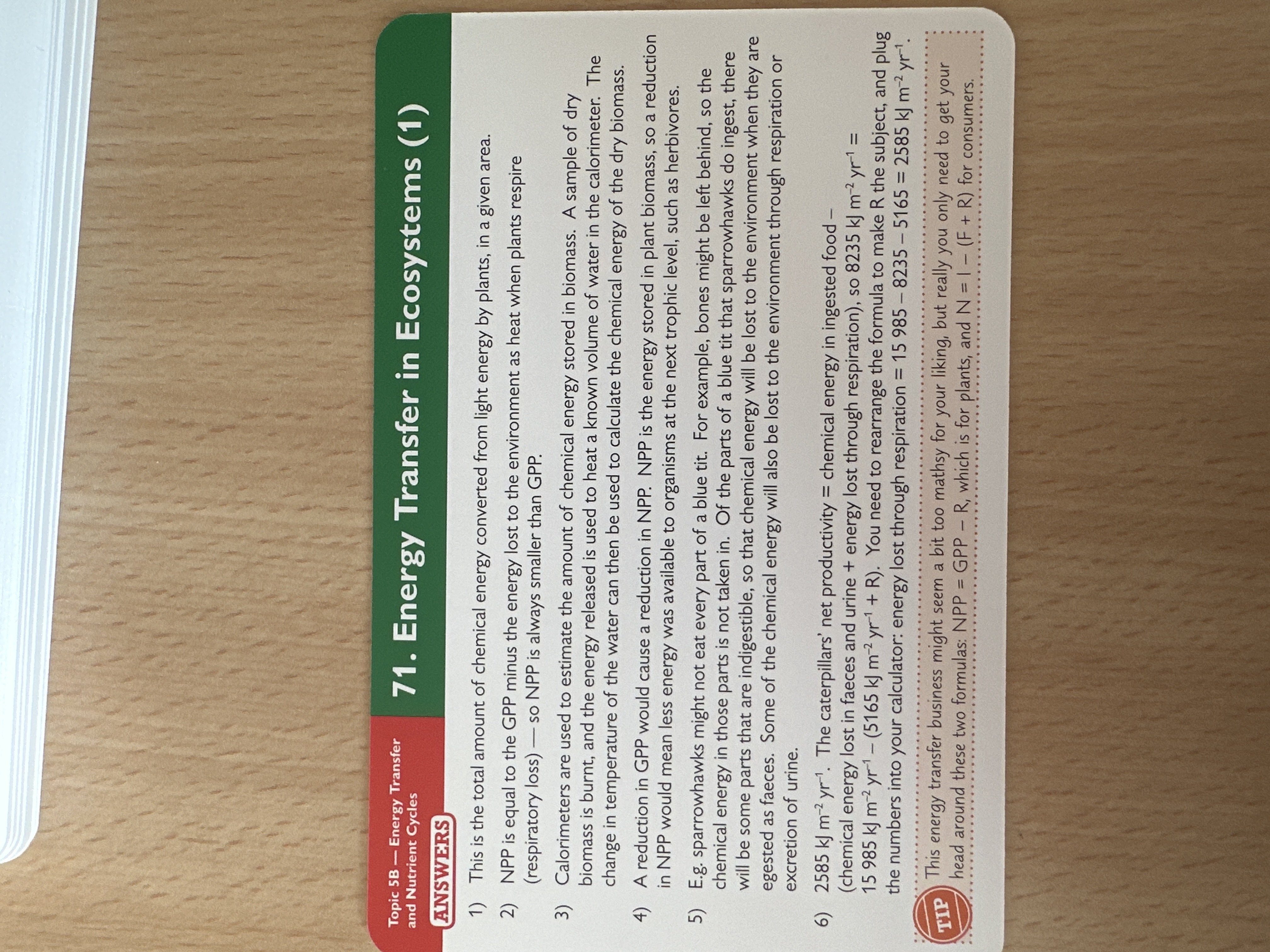 knowt flashcard image