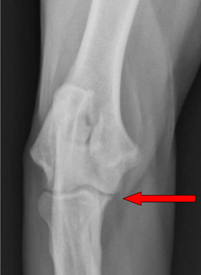 <p>What is the arrow pointing to? </p>