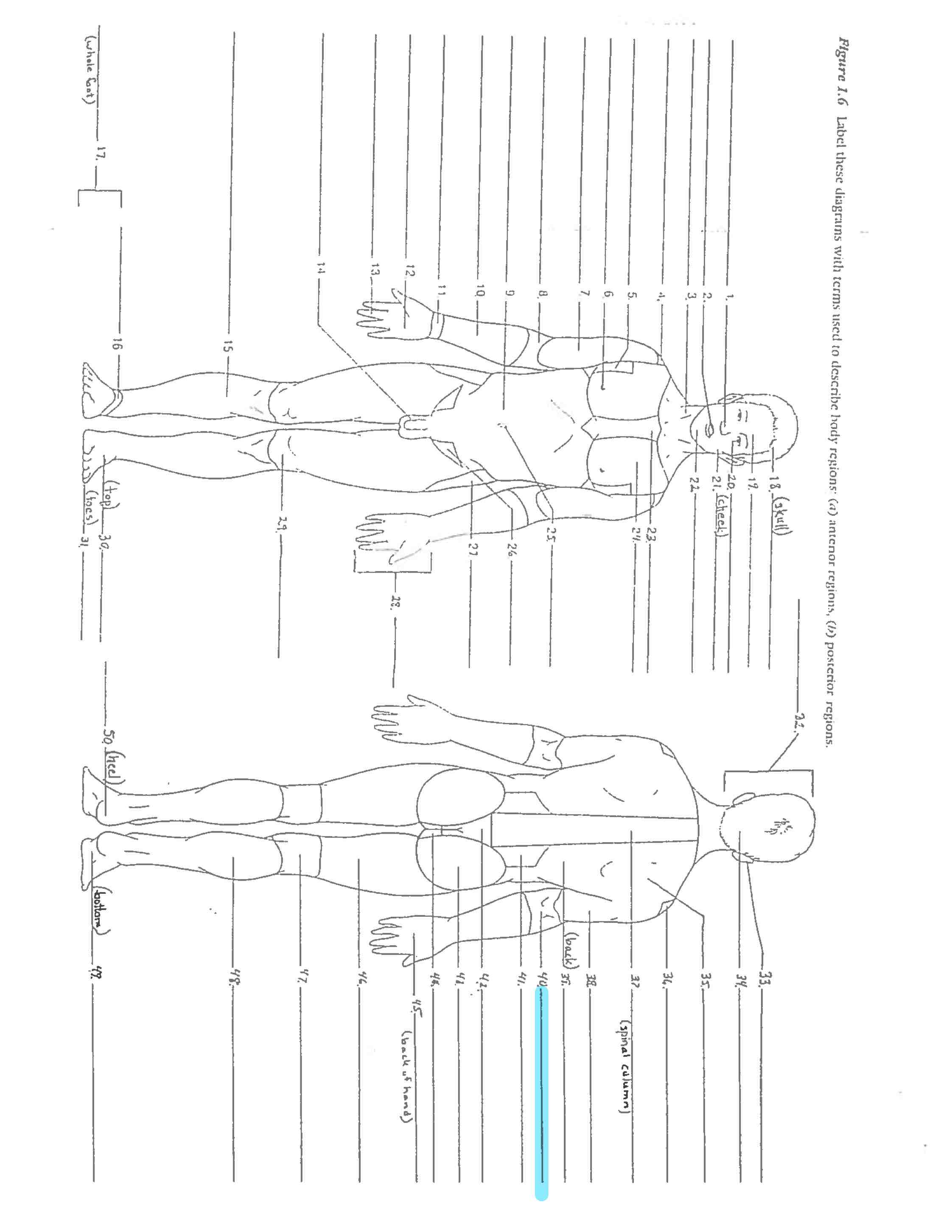 <p>Line 40 </p>