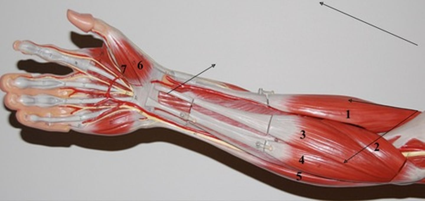 <p>4-</p>