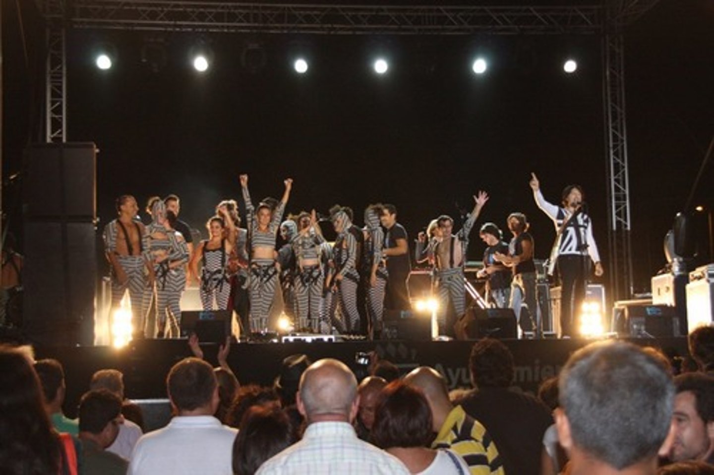 <p>the concert</p>