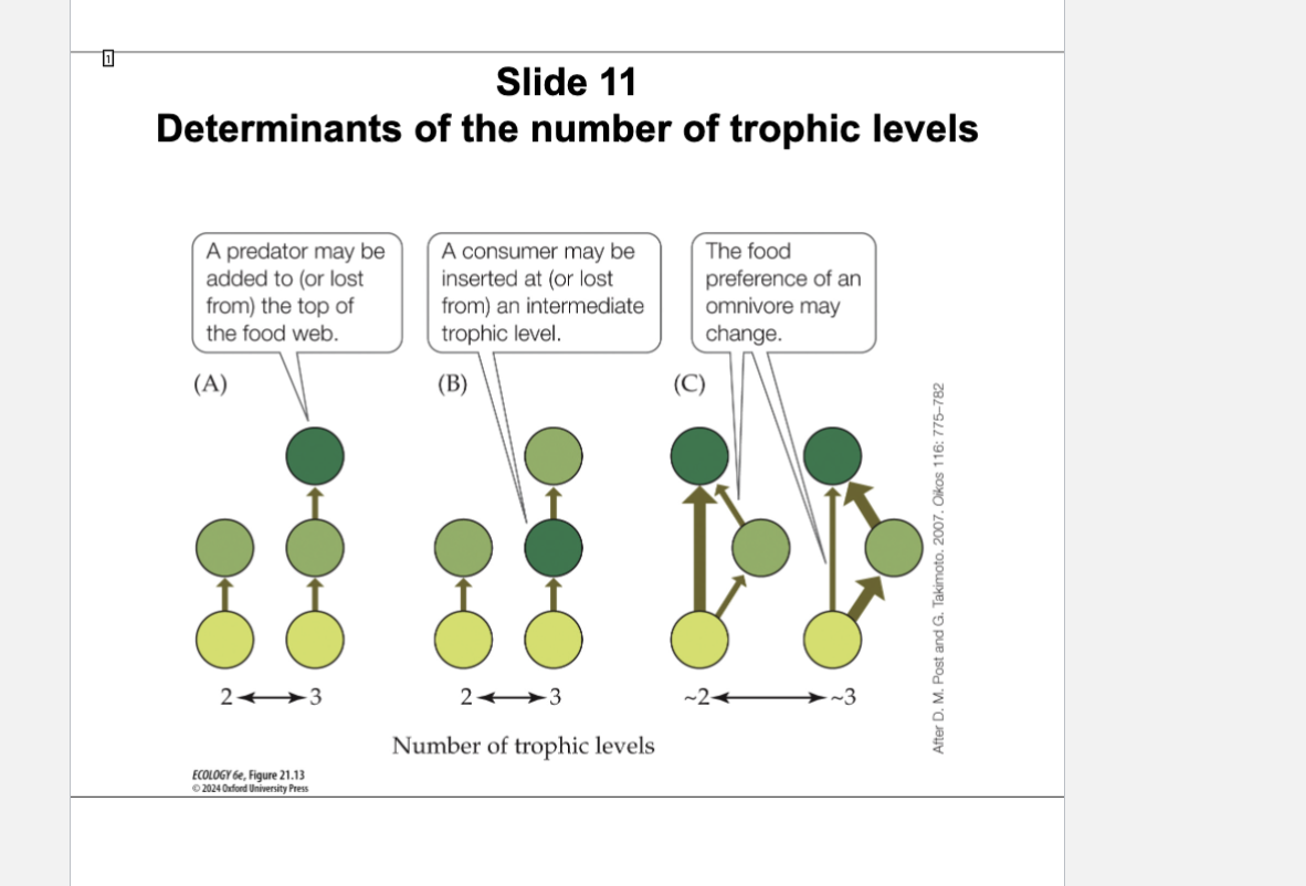 <p>Explain Figure 21.13- Chnages in the number of trophic levels</p>