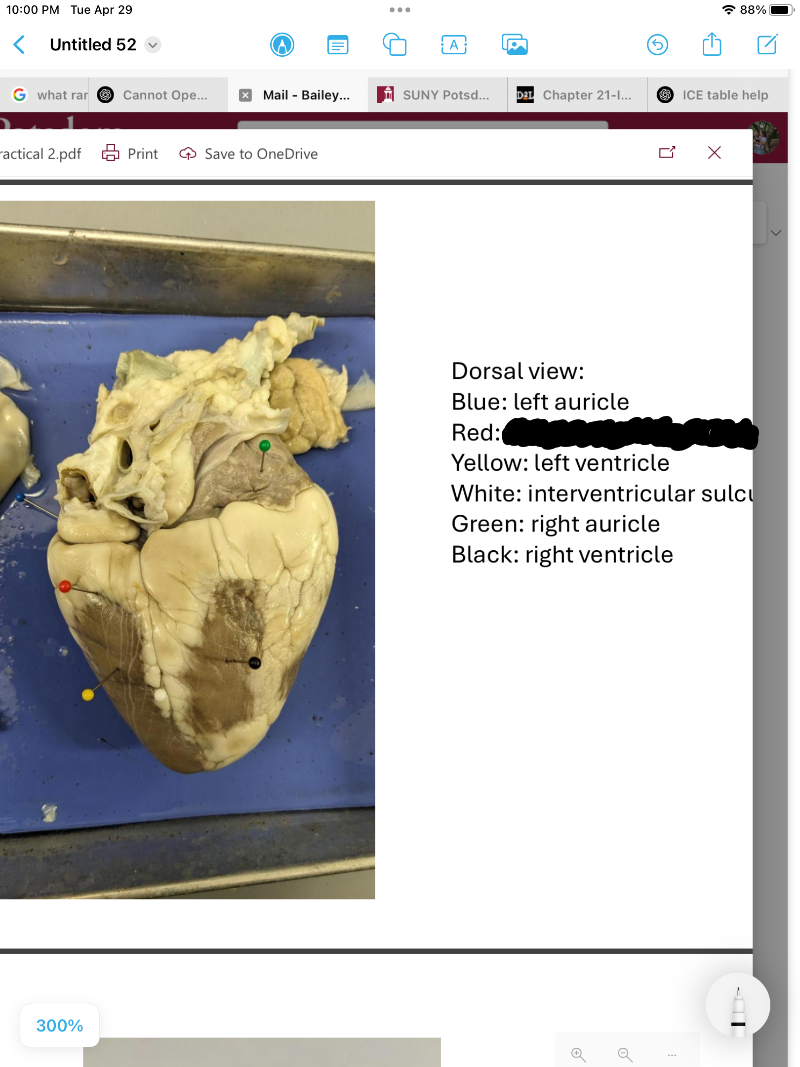 <p>label the area</p>