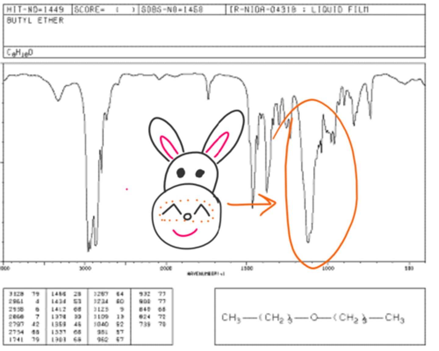 <p>1000-1300</p><p>* ether bunny comes every 1000-1300 years</p>