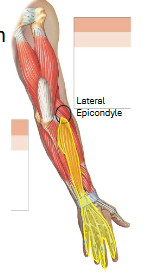 <p>What is this?</p>