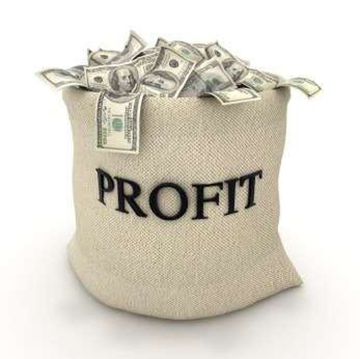 <p>Money left after all expenses are paid.</p>