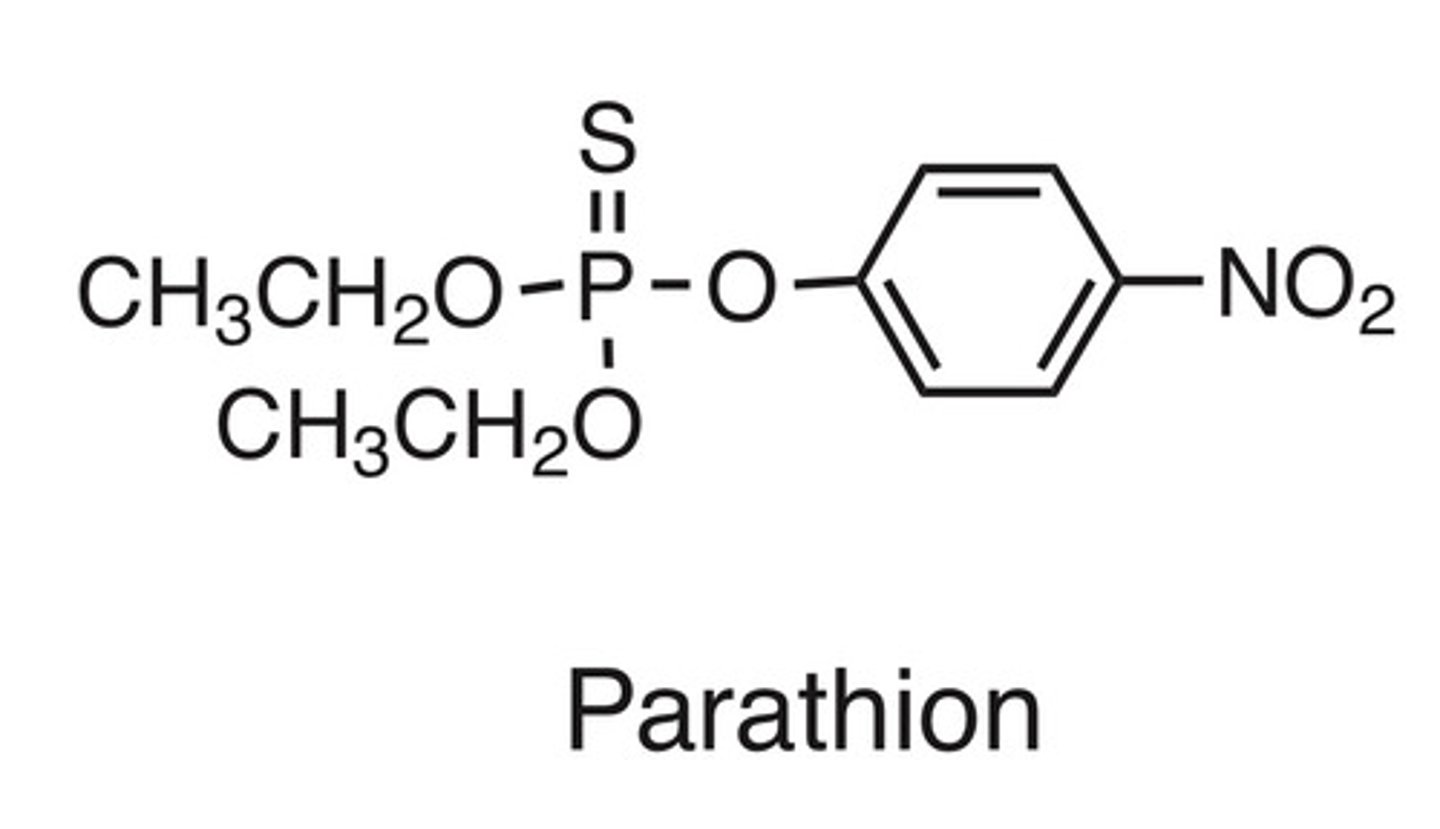 <p>Parathion</p>