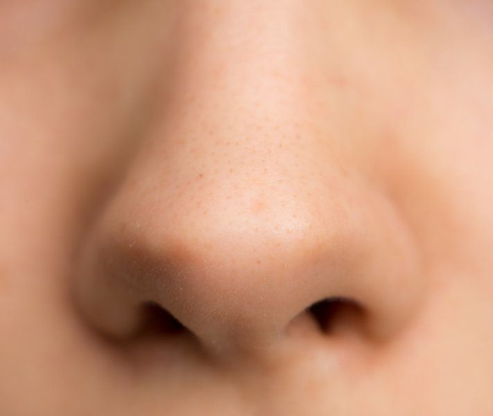 <p>Nose</p>