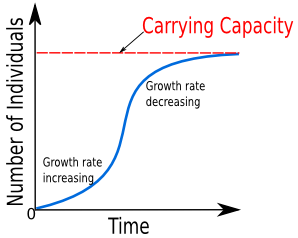 <p>A population pattern that starts with exponential growth and then plateaus due to carrying capacity.</p><ul><li><p>Seen with bacteria</p></li></ul>