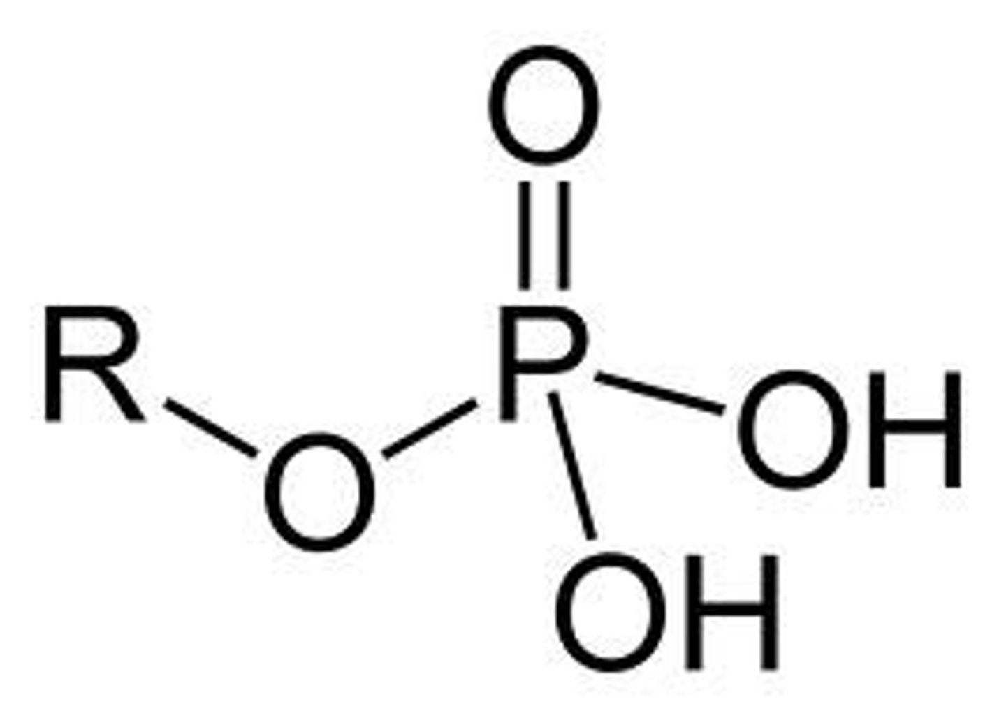<p>consisting of a phosphorus atom covalently bonded to four oxygen atoms; acidic</p>