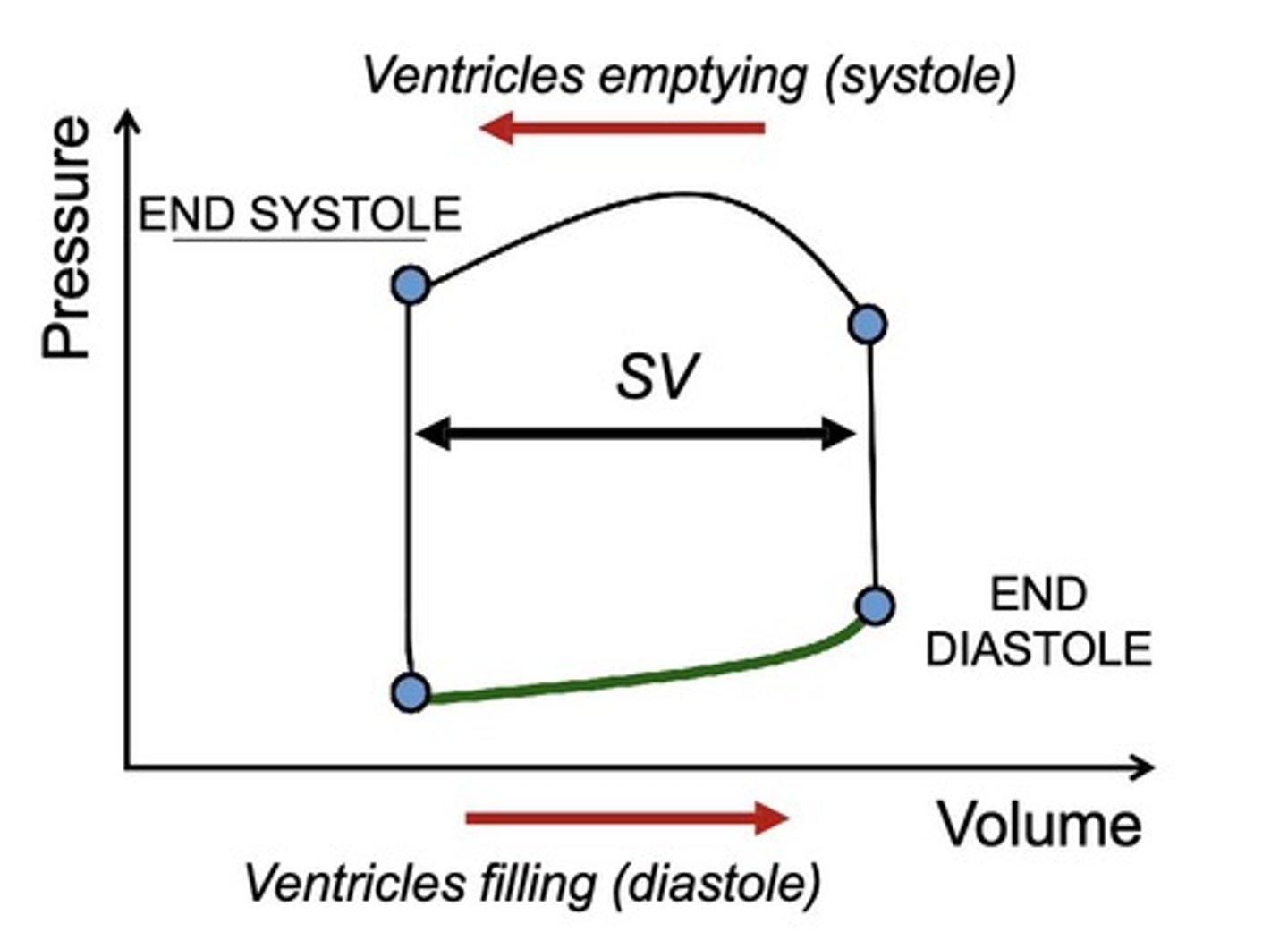 <ul><li><p>HFrEF is characterized by <u>decreased contractility</u> and <u>reduced ejection fraction</u></p></li><li><p>HFpEF involves <u>stiff ventricles</u> with <u>preserved ejection fraction.</u></p></li></ul><p></p>
