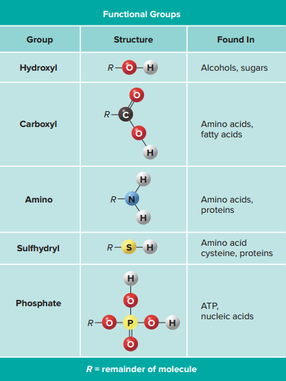 Chart of Functional Groups