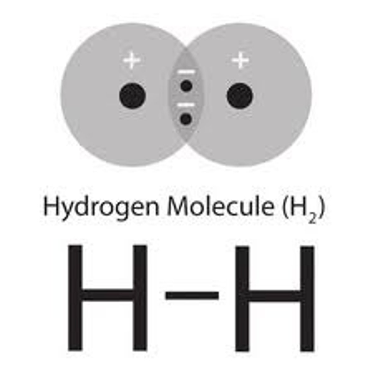 <p>2 electrons (or 1 pair of electrons) being shared between 2 atoms (also called a sigma bond)</p>