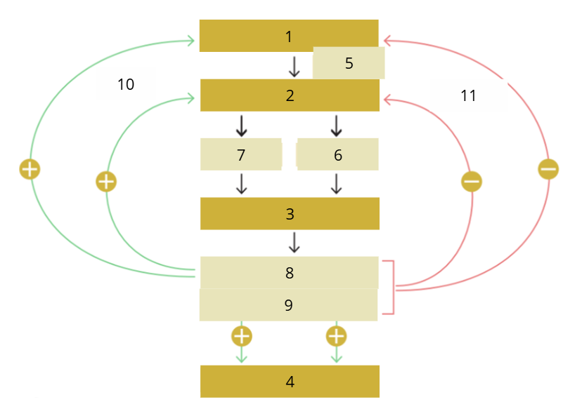 <p>Benoem het aangeduide onderdeel: 10</p>