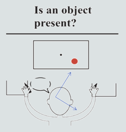 <p>What will a split brain patient report:</p><p>1) Verbally?</p><p>2) Writing with the left hand?</p><p>3) Writing with the right hand?</p>