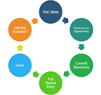 <p>Identify the type of graphic organizer</p>