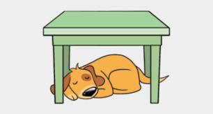 <p>Sur/sous</p><p><span style="background-color: oklch(0.2167 0.002 197.039993); color: oklch(0.9296 0.007 106.529999);"><span>Le livre est sur la table</span></span></p><p><span style="background-color: oklch(0.2167 0.002 197.039993); color: oklch(0.9296 0.007 106.529999);"><span>Le chien est sous la table</span></span></p>